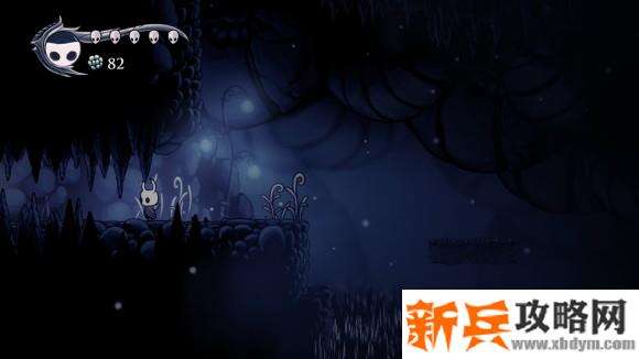 空洞骑士《HollowKnight》一周目后攻略