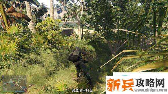 侠盗猎车手5《GTA5》佩里科岛精英速通攻略