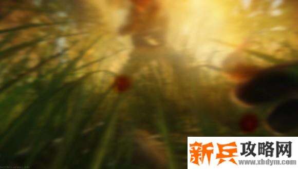 逃离塔科夫《EscapefromTarkov》SearchMission任务攻略