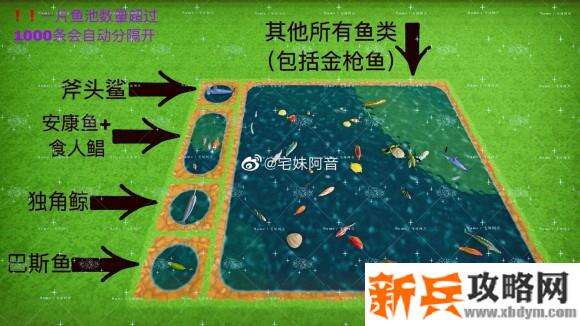 一起玩农场《FarmTogether》养鱼攻略