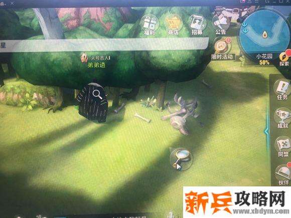 航海王热血航线小花园探索攻略