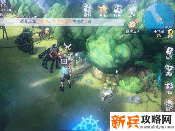 航海王热血航线小花园探索攻略