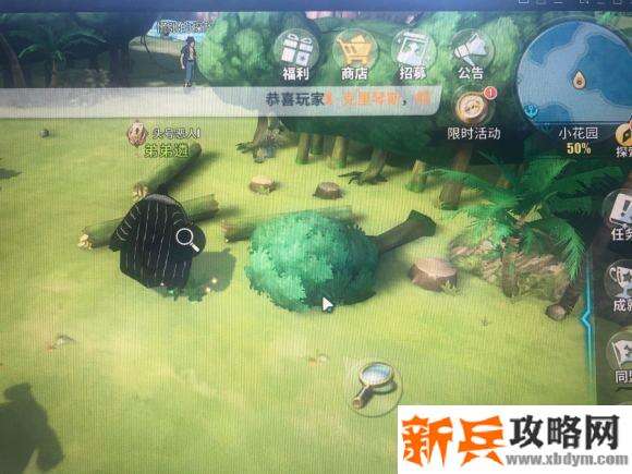 航海王热血航线小花园探索攻略