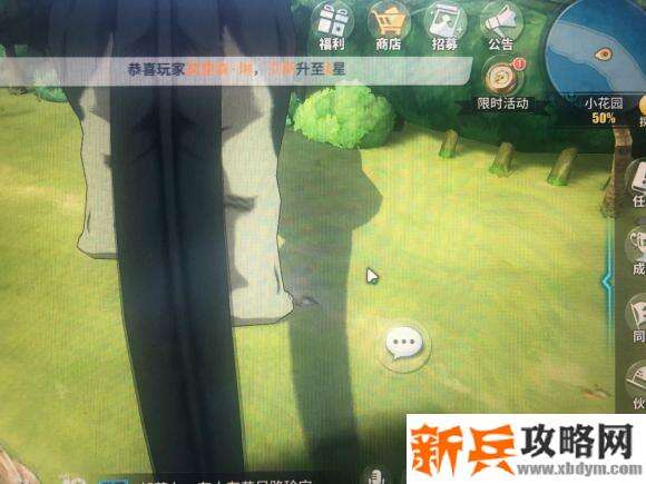 航海王热血航线小花园探索攻略