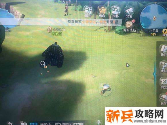 航海王热血航线小花园探索攻略