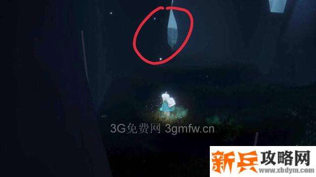 sky光遇雨林小金人位置在哪？