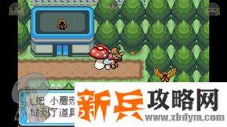 口袋妖怪去吧伊布3.0图文攻略