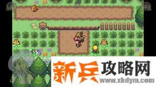 口袋妖怪去吧伊布3.0图文攻略