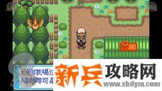 口袋妖怪去吧伊布3.0图文攻略