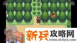 口袋妖怪去吧伊布3.0图文攻略