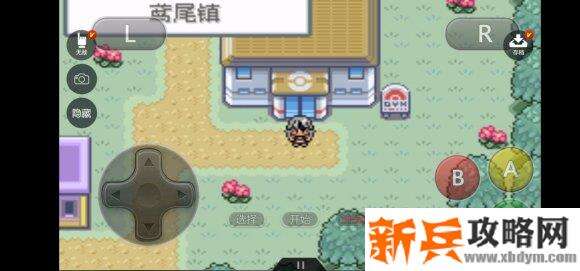 口袋妖怪无名《PokemonNameless》二周目图文攻略