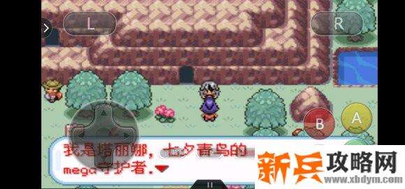 口袋妖怪无名《PokemonNameless》二周目图文攻略