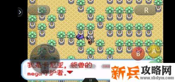 口袋妖怪无名《PokemonNameless》二周目图文攻略