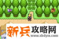 口袋妖怪去吧皮卡丘4.0图文攻略