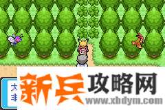 口袋妖怪去吧皮卡丘4.0图文攻略