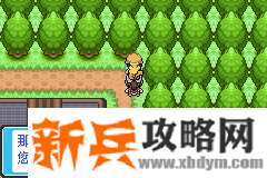 口袋妖怪去吧皮卡丘4.0图文攻略