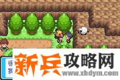 口袋妖怪去吧皮卡丘4.0图文攻略