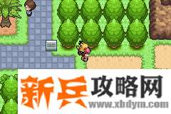 口袋妖怪去吧皮卡丘4.0图文攻略