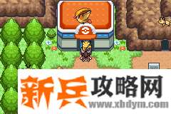 口袋妖怪去吧皮卡丘4.0图文攻略