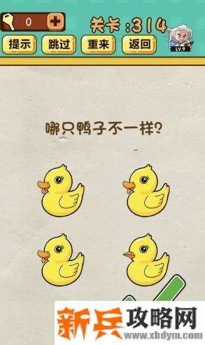 神脑洞游戏第314关《哪只鸭子不一样》答案攻略