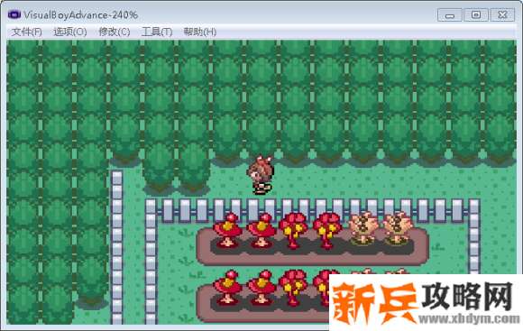 口袋妖怪刽曜之影二周目图文攻略