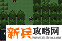 口袋妖怪漆黑的魅影5.0EX+BW图文攻略