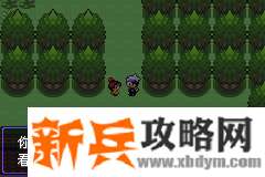 口袋妖怪漆黑的魅影5.0EX+BW图文攻略