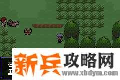 口袋妖怪漆黑的魅影5.0EX+BW图文攻略