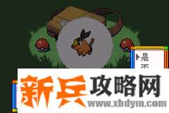 口袋妖怪漆黑的魅影5.0EX+BW图文攻略