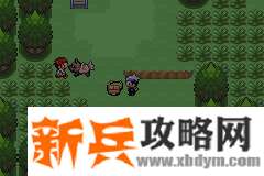 口袋妖怪漆黑的魅影5.0EX+BW图文攻略