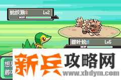 口袋妖怪漆黑的魅影5.0EX+BW图文攻略