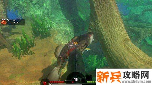 海底大猎杀《FeedAndGrowFish》生存模式攻略