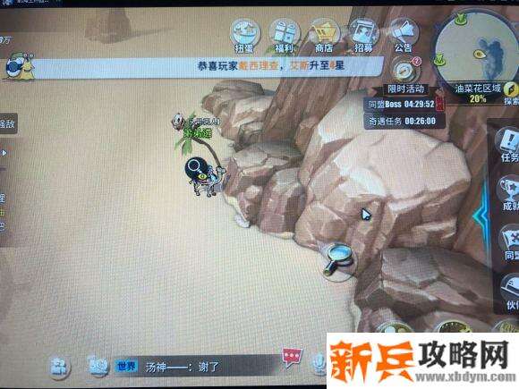 航海王热血航线油菜花探索攻略