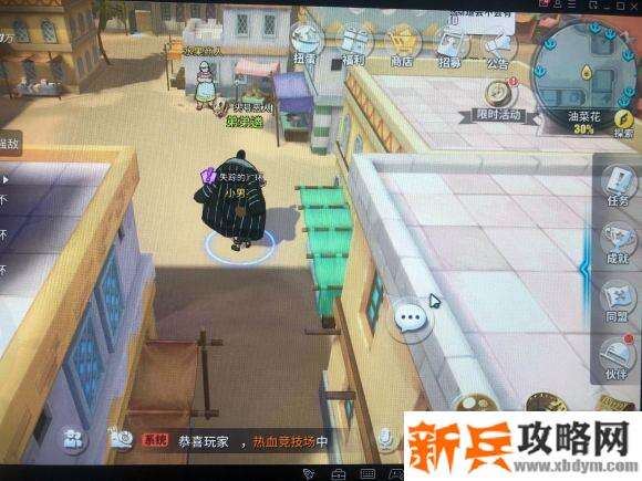 航海王热血航线油菜花探索攻略