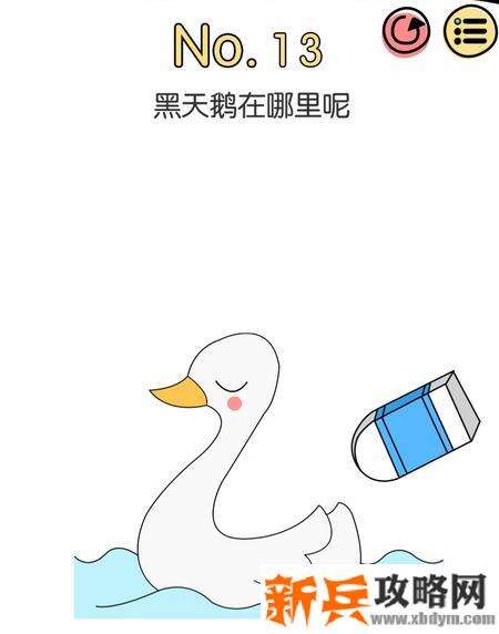 脑洞大神第13关【黑天鹅在哪里呢】答案攻略