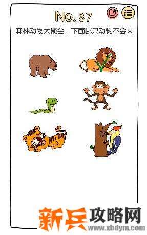 脑洞大神第37关【森林动物大聚会下面哪只动物不会来】答案攻略