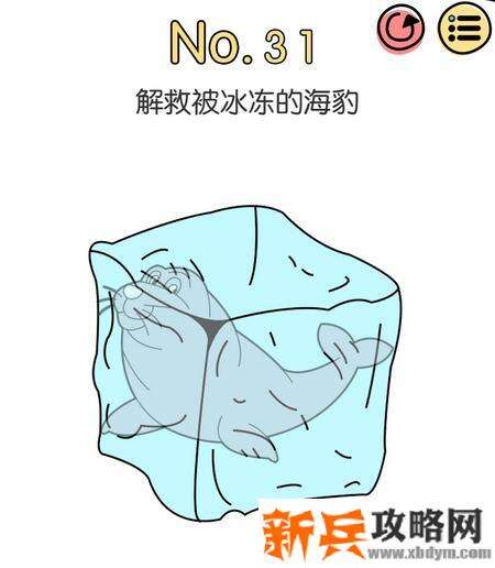 脑洞大神第31关【解救被冰冻的海豹】答案攻略