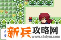 口袋妖怪去吧洛奇亚图文攻略