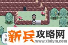 口袋妖怪无名《PokemonNameless》图文攻略