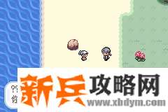 口袋妖怪无名《PokemonNameless》图文攻略
