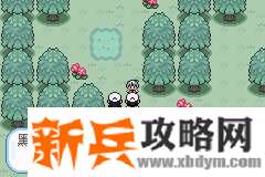 口袋妖怪无名《PokemonNameless》图文攻略