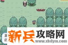 口袋妖怪无名《PokemonNameless》图文攻略