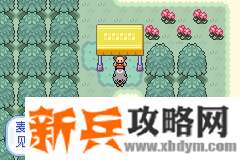 口袋妖怪无名《PokemonNameless》图文攻略