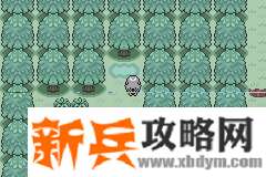 口袋妖怪无名《PokemonNameless》图文攻略