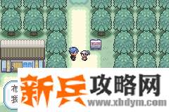 口袋妖怪无名《PokemonNameless》图文攻略