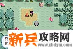 口袋妖怪无名《PokemonNameless》图文攻略