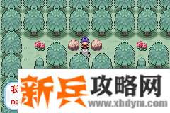 口袋妖怪无名《PokemonNameless》图文攻略