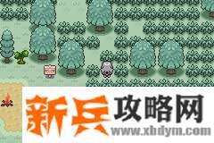 口袋妖怪无名《PokemonNameless》图文攻略