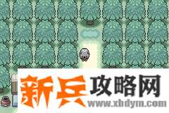 口袋妖怪无名《PokemonNameless》图文攻略