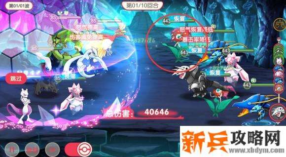 口袋觉醒花蓓蓓怎么样?